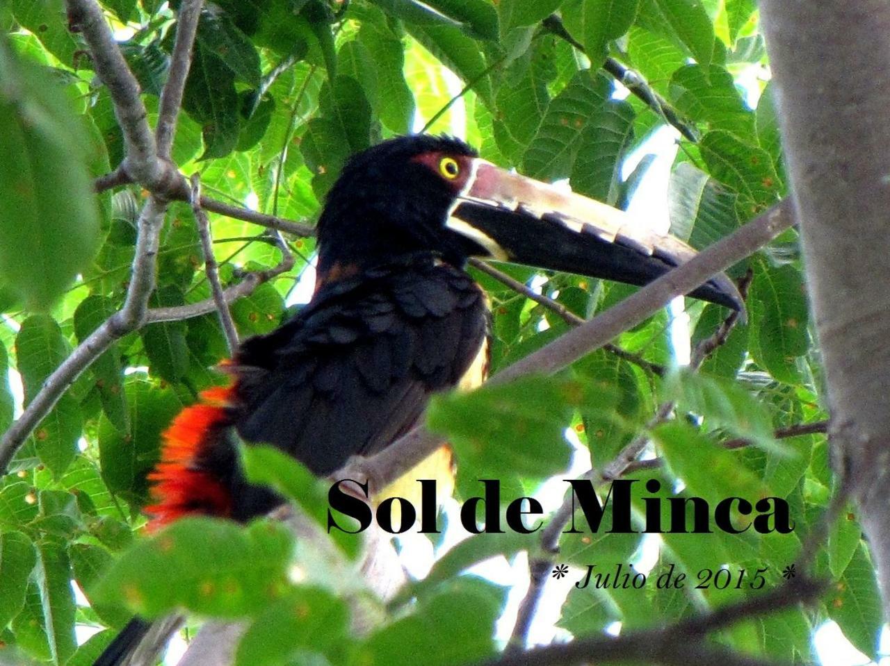 Sol De Minca Eco Lodge Экстерьер фото